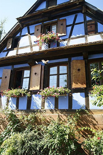 Maison Stern