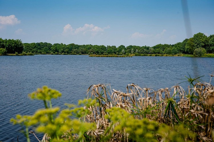 PLAN D'EAU DU GRAND FAY