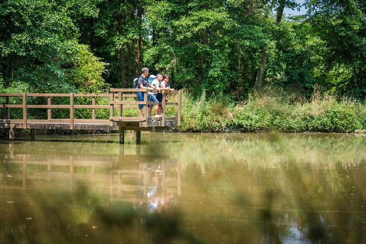 PLAN D'EAU DU GRAND FAY