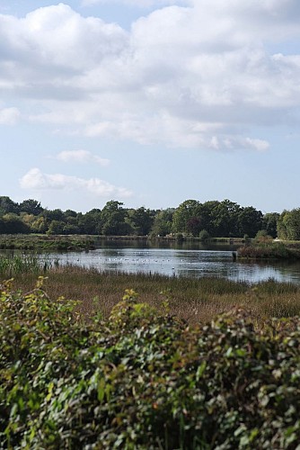 PLAN D'EAU DU GRAND FAY