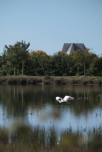 PLAN D'EAU DU GRAND FAY