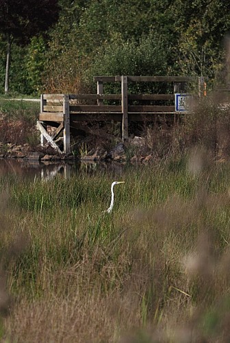 PLAN D'EAU DU GRAND FAY