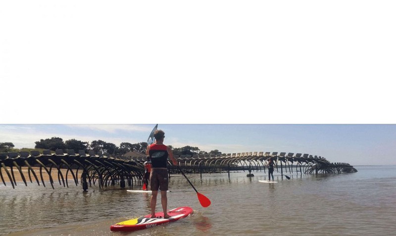 STAND UP PADDLE AVEC ATLANTIC SURF ACADEMY