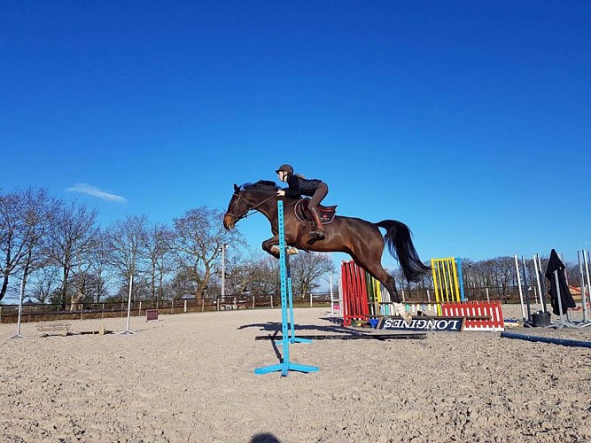 LES ECURIES OREPÈRE - PENSION DE CHEVAUX