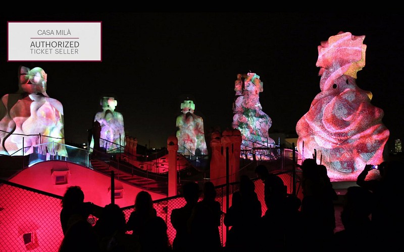 Casa Mila - The Origins Night Show