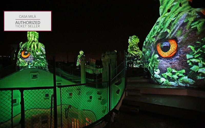 Casa Mila - The Origins Night Show