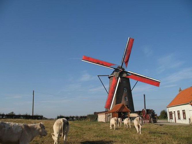 Steenmeulen et Musée Rural Flamand