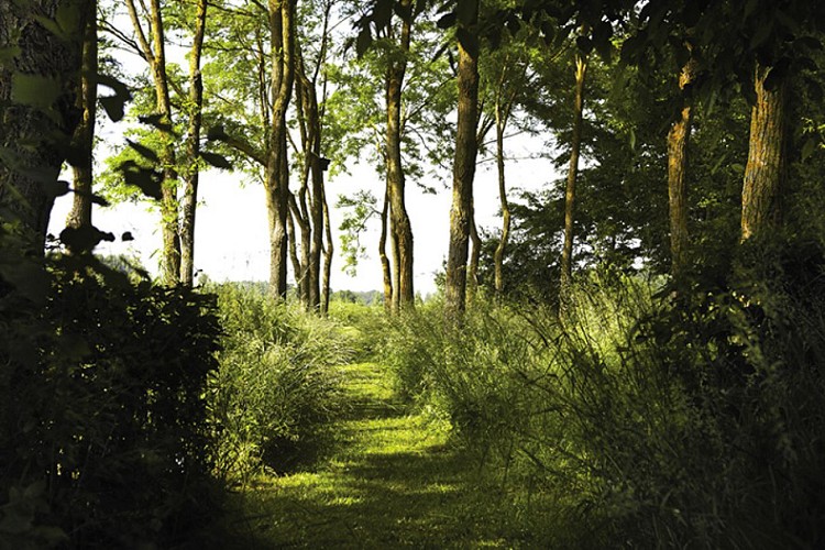 jardin du lansau