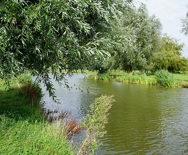 Wormhout Base de loisirs de l'étang des 3 sources