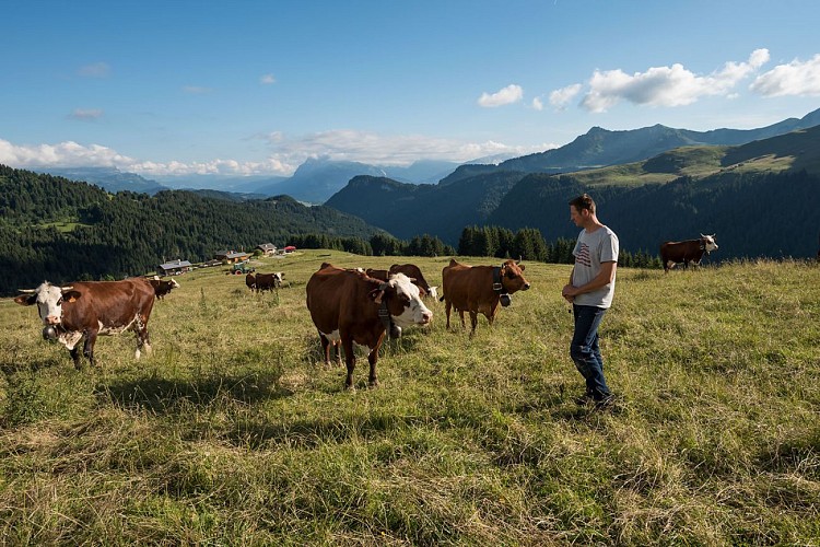 La Ferme du Caly