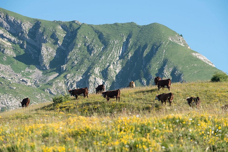 La Ferme du Caly