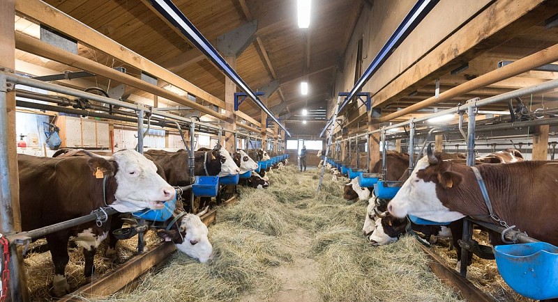 La Ferme du Caly