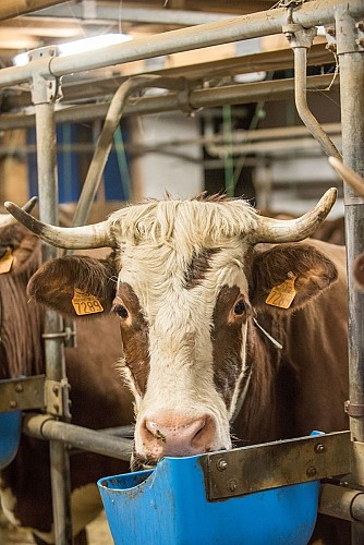 La Ferme du Caly