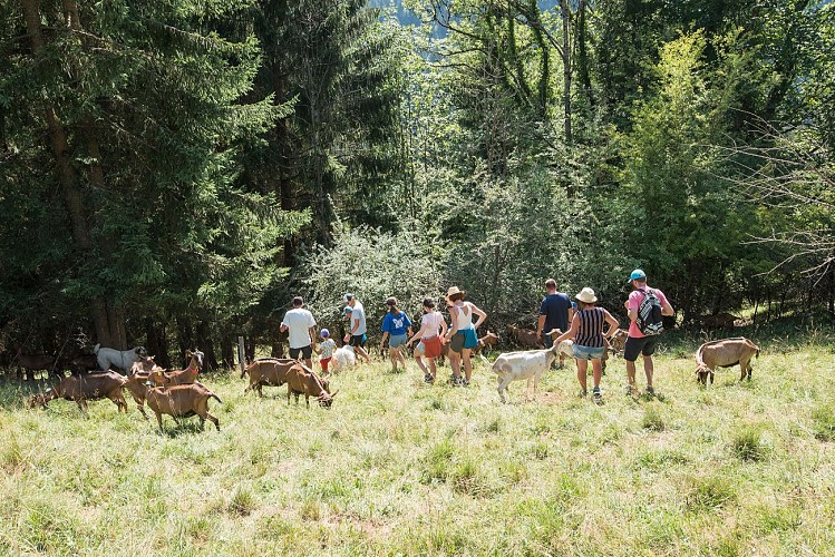 Le Clos aux chèvres