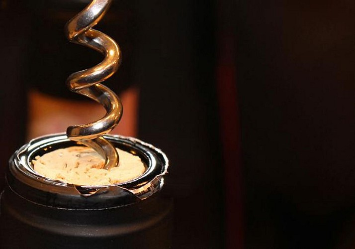 Excursion dans la région du Chianti et visite de caves à vin - au départ de Sienne