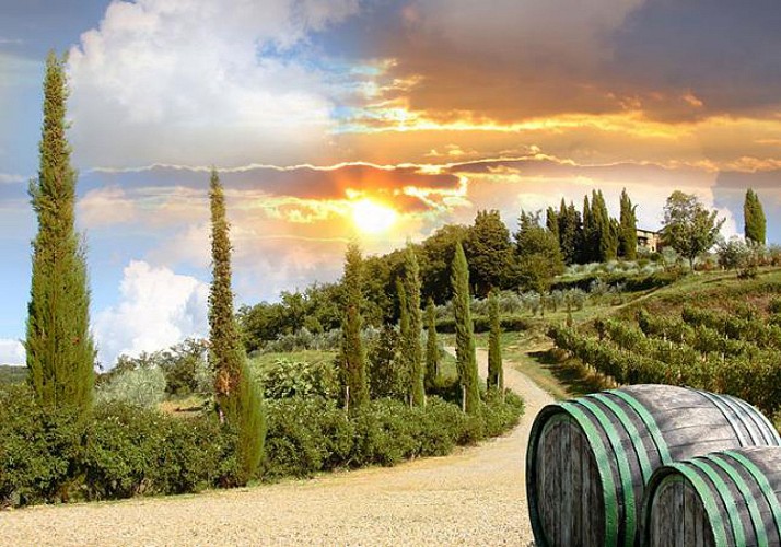 Excursion dans la région du Chianti et visite de caves à vin - au départ de Sienne