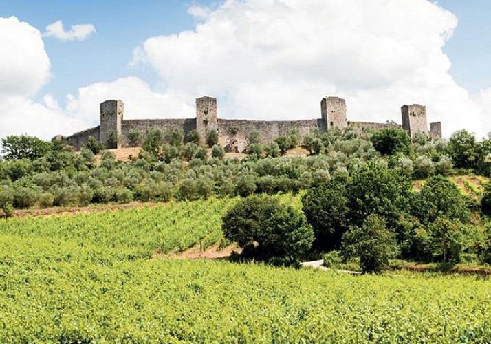 Excursion dans la région du Chianti et visite de caves à vin - au départ de Sienne
