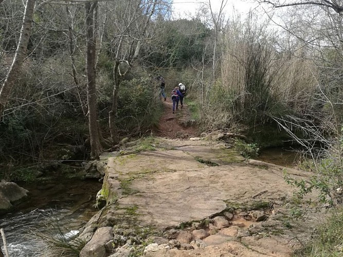 Le gué sur le Rhonel