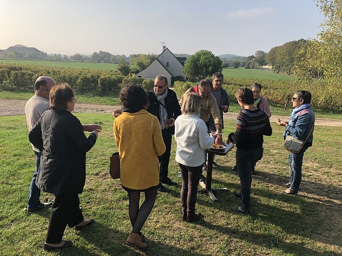 Le Domaine de la Tuffière