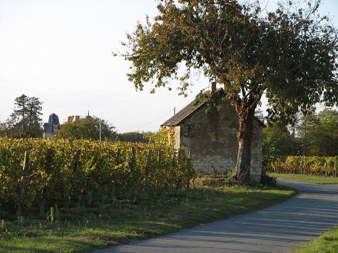 Le Domaine de la Tuffière