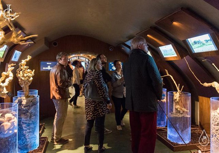 Les Caves du Louvre: Wine Tasting in The Heart of Paris