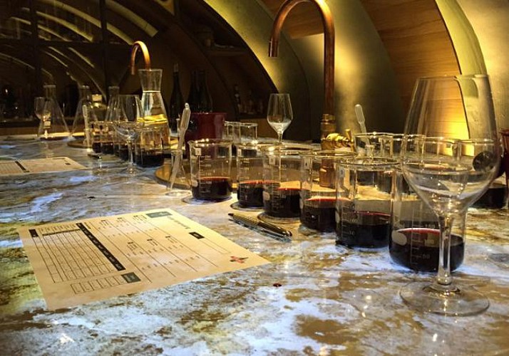 Scoperta e degustazione di vini francesi nel centro di Parigi