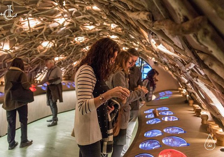 Scoperta e degustazione di vini francesi nel centro di Parigi