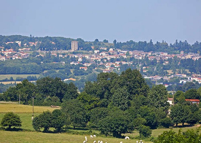 Vue sur Pouzauges