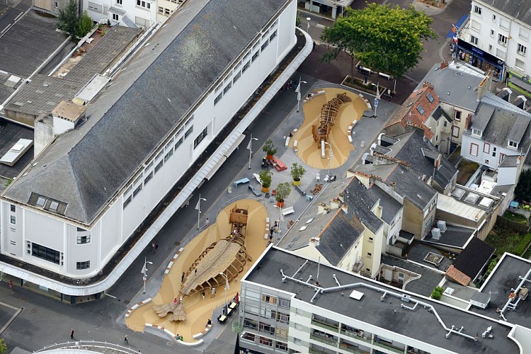 AIRE DE JEUX CENTRE VILLE - LE DRAGON DES MERS ET L'ANGUILLE