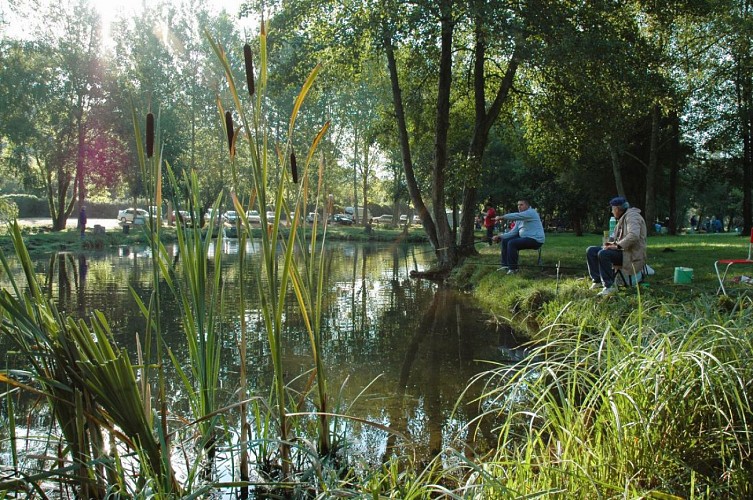 Pêche à la truite du moulin hubeau
