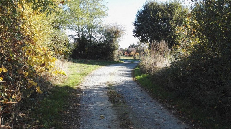 route des Gâtisseaux