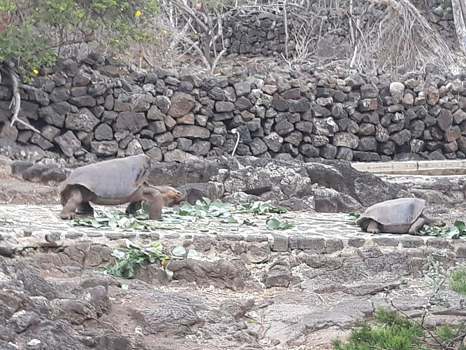 Station scientifique Charles Darwin