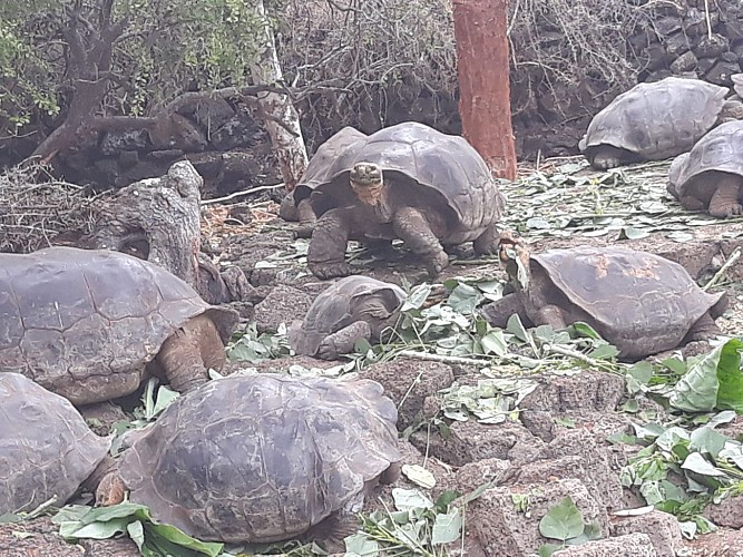 Station scientifique Charles Darwin