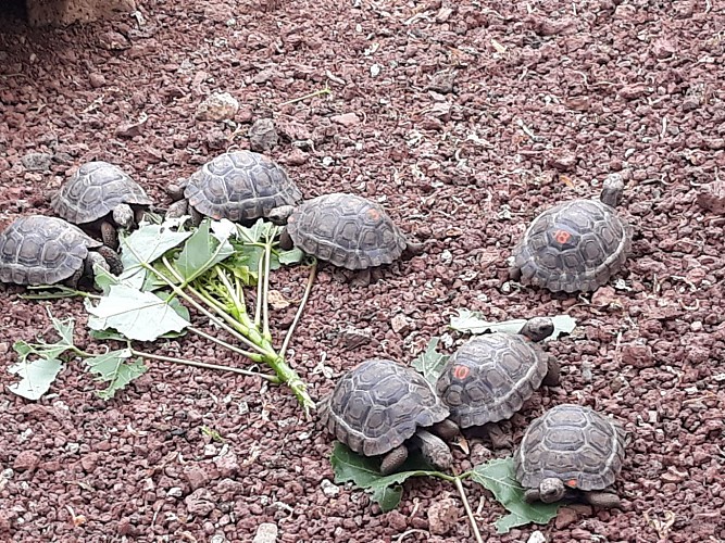 Station scientifique Charles Darwin