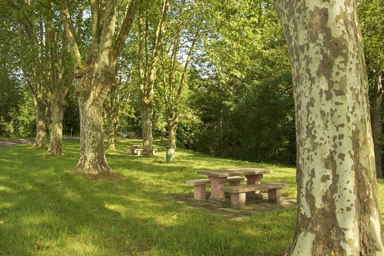 Aire de pique nique