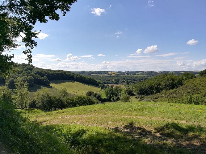Point de vue sur les Pyrénées