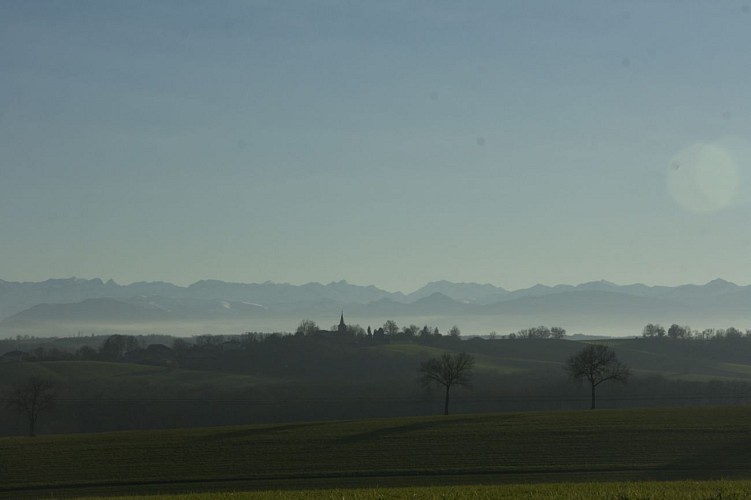 Point de vue sur les Pyrénées