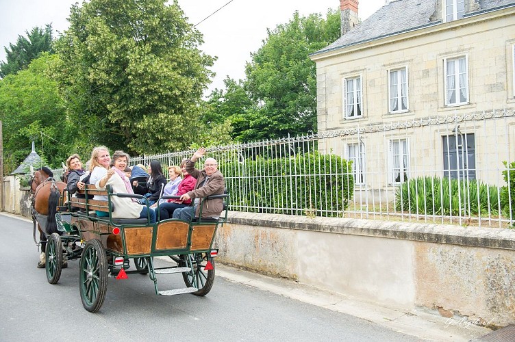 Gite Hélène Boucher – En Rou Libre
