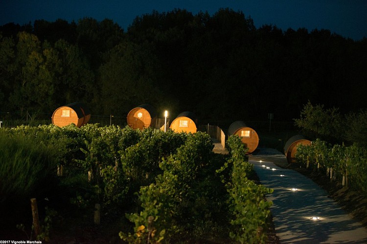 Nuit en tonneau au Vignoble Marchais