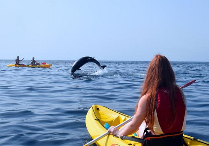 Kayak avec les dauphins & Nage avec les tortues - Tenerife