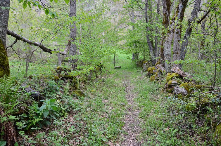 Murets de pierre sèche