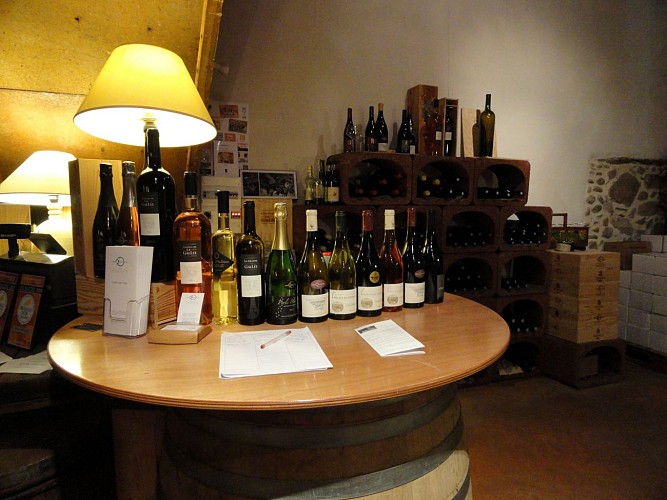 Regis Descotes's wine growing estate