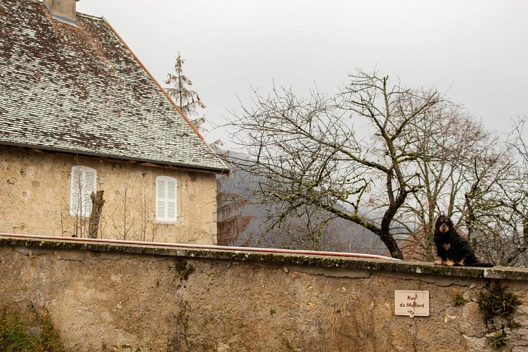 Village de Bénonces