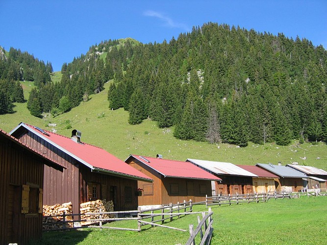 Buchille mountain pasture