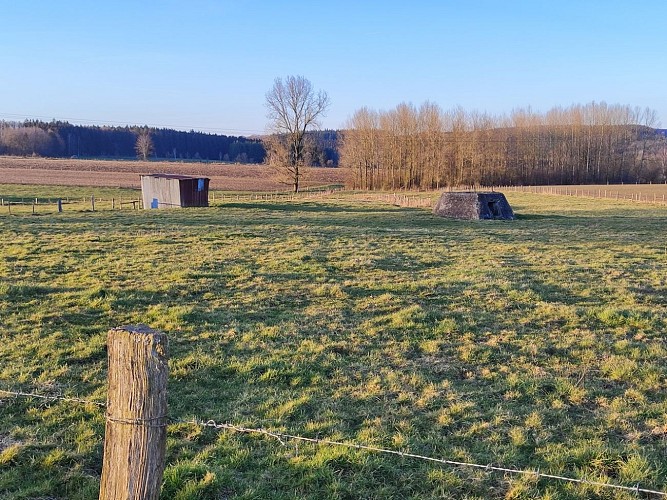 20250217_Station radar Rochen - © MT Coeur de l'Ardenne - M. Paquay (15)