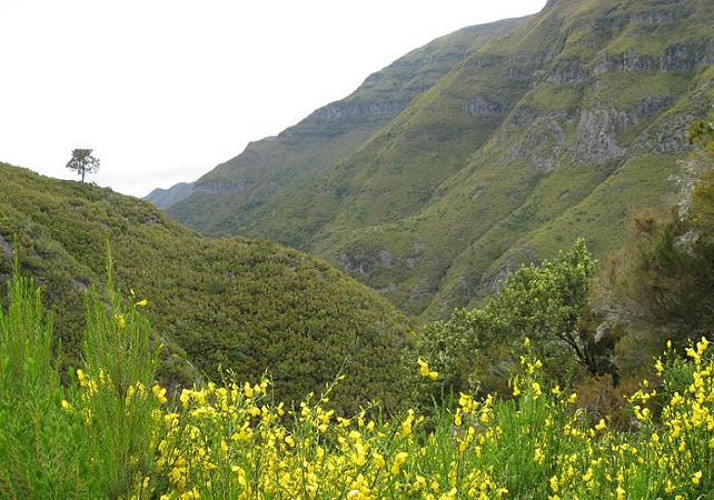 Randonnée au pied des cascades du Rabaçal – Au départ de Funchal