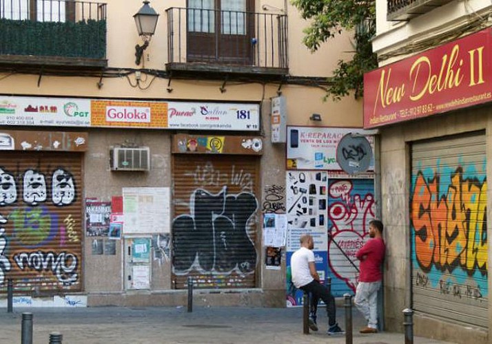 Guided Private Visit to the Muticultural Neighborhood Lavapies in Madrid