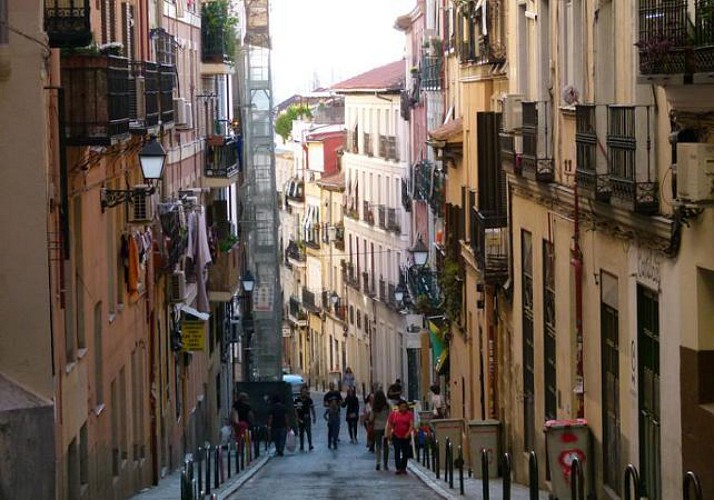 Guided Private Visit to the Muticultural Neighborhood Lavapies in Madrid