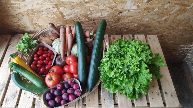 Les jard'ins de Saint Vincent