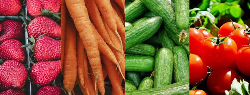 Les jard'ins de Saint Vincent